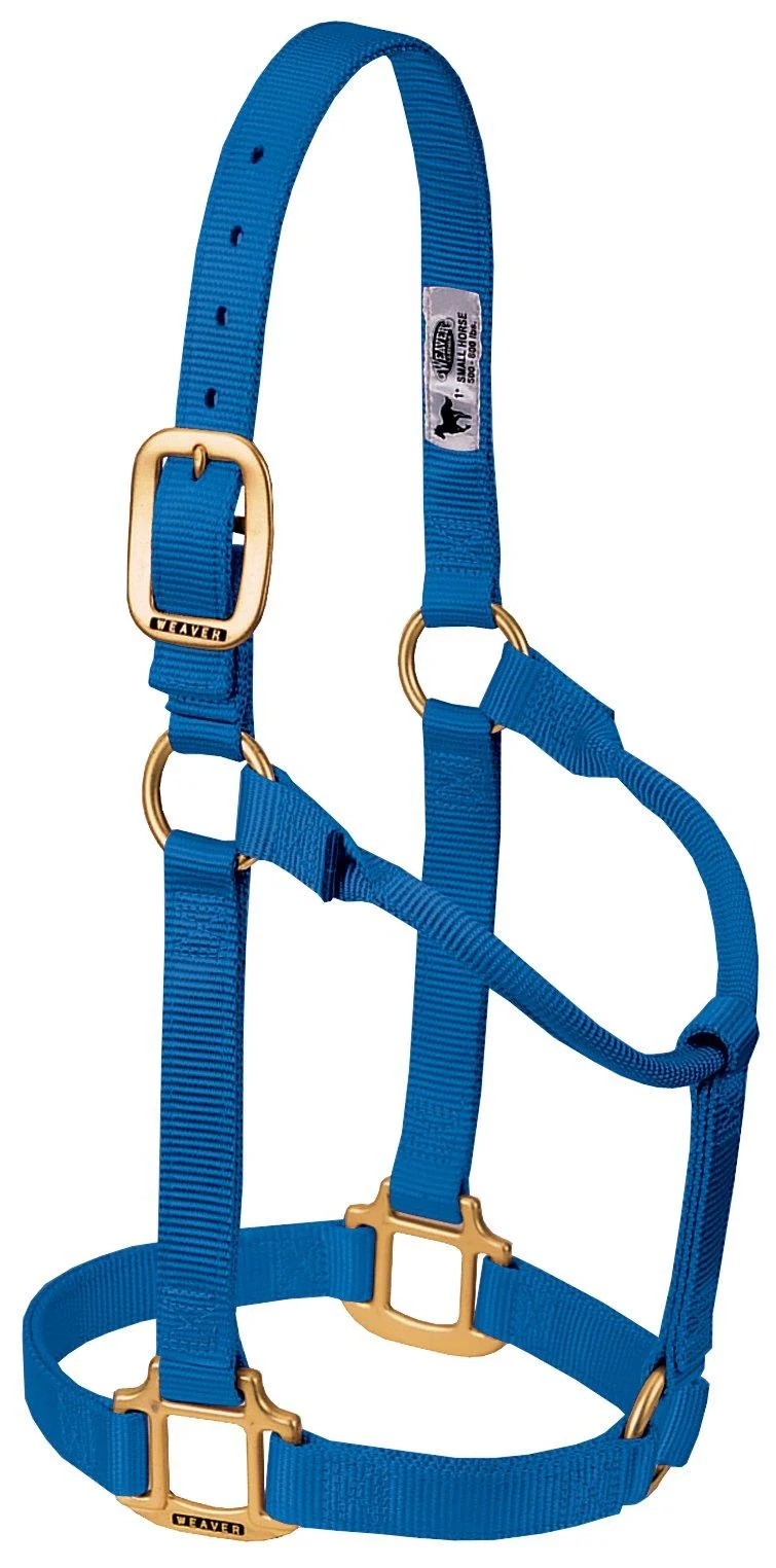 WEAVER Leather Non-adjustable Halter Blue Large Horse