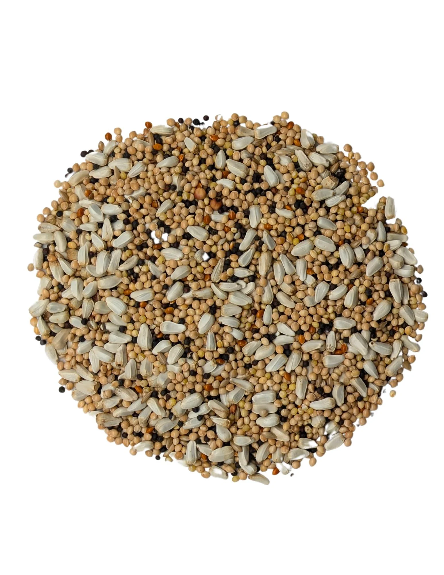 For Everybirdy Anti-Squirrel Wild Bird Seed Mix 4kg (8.8lbs)