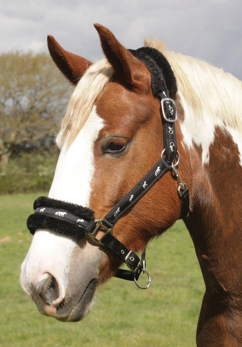 Rhinegold Logo Halter with Fleece Trim Black Pony