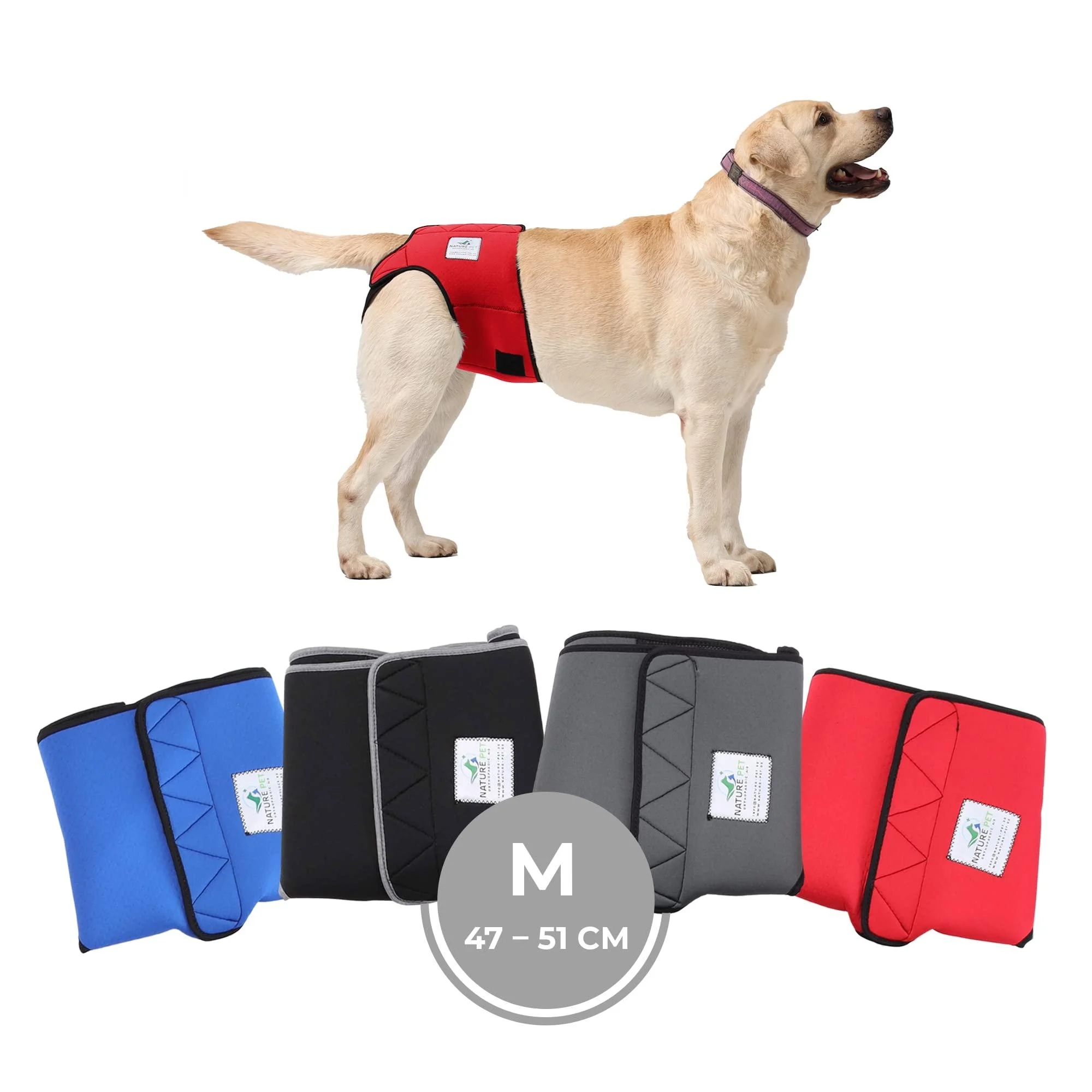 Sailing trousers for bitches 2.0 - dog diapers made of high -quality perforated neoprene for an optimal air exchange - dog diapers for male without the annoying threading of the rod (M -red) m red