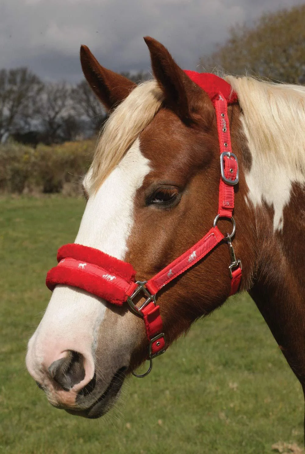 Rhinegold Logo Halter with Fleece Trim Red Full Size
