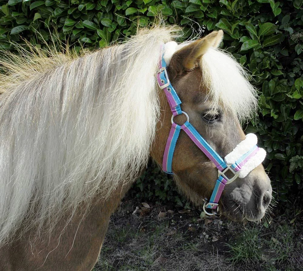 Rhinegold Bright Striped Fur Trim Small Pony Headcollar Mini Shetland Turquoise Stripe