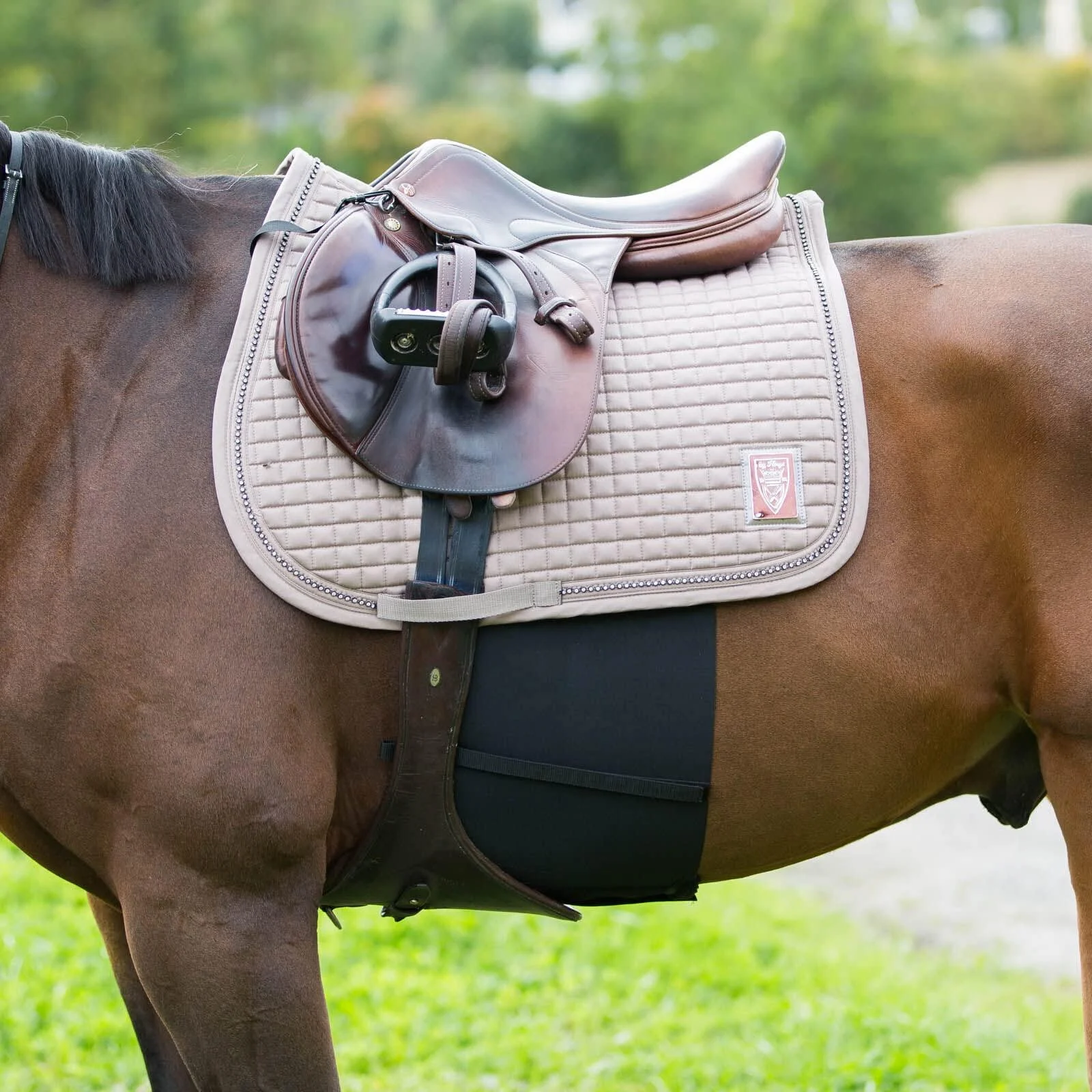 HORZE Elastic Protective Belly Guard | Anti-Rub and Anti-Chafe Girth Band for Horses Black Horse