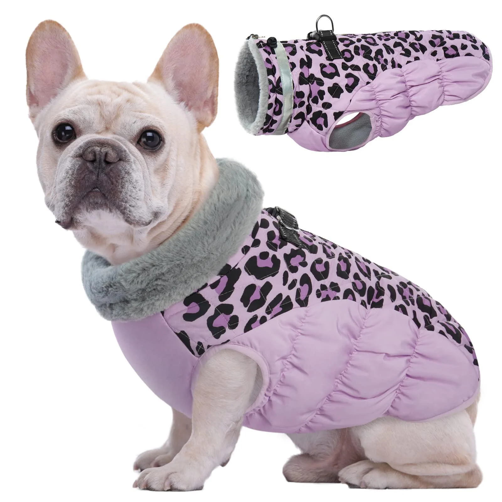 Kuoser warm dog jacket reflective dog coat windproof dog coat for small dogs fashion dog coat large dogs dogs winter coat dog coat with dishes purple M M purple