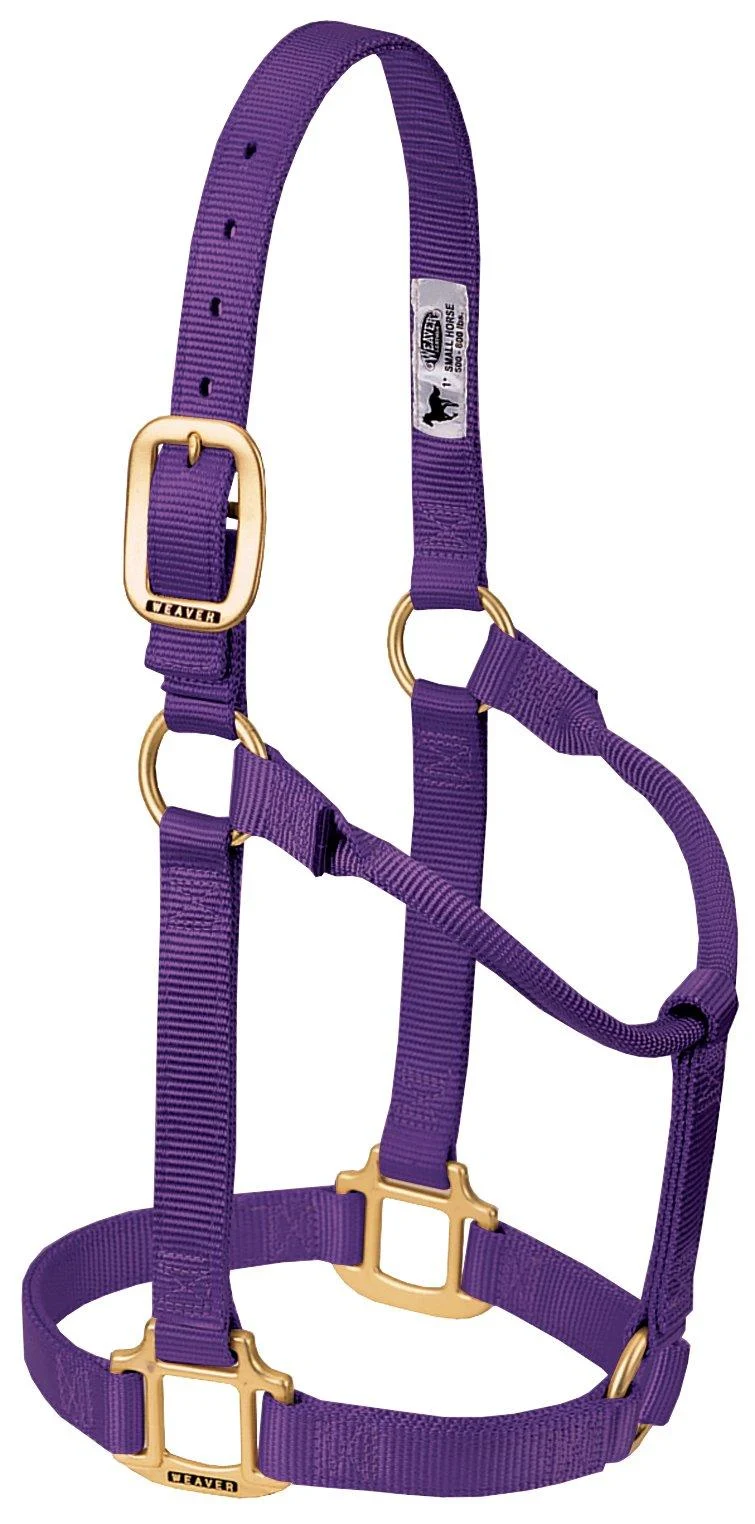 WEAVER Leather Non-adjustable Halter Purple Yearling