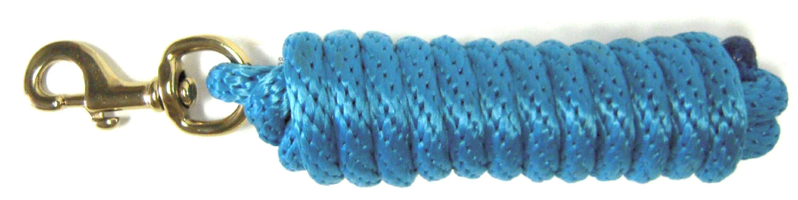 Hamilton Poly Leash with Snap Hook Ocean Blue