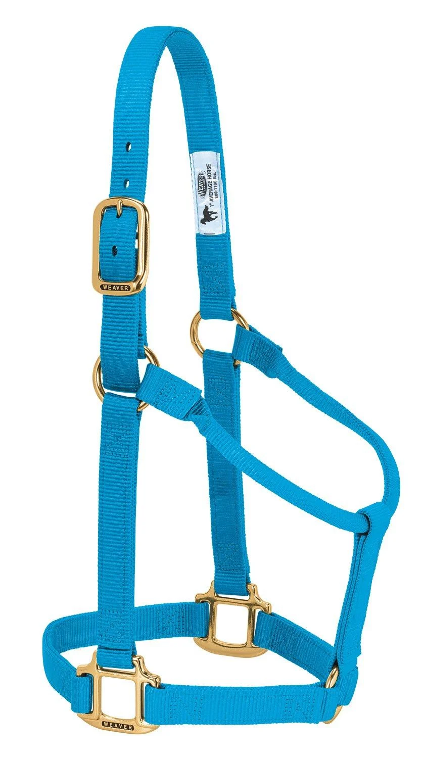 WEAVER Leather Non-adjustable halter Hurricane blue Weanling/Pony