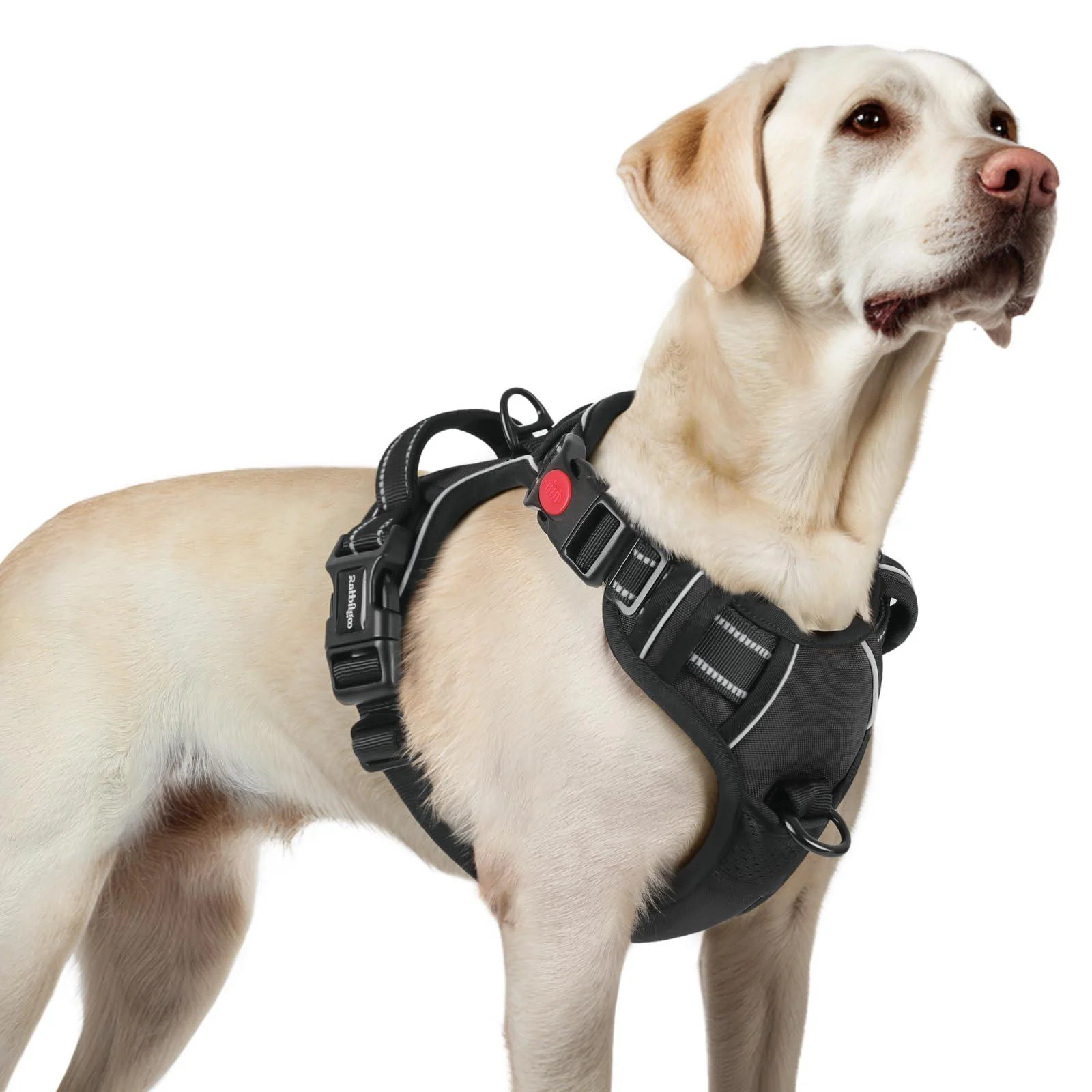 Rabbitgoo dog harness Large dogs dog harness without train adjustable dishes dog without choking anti -pull dog harness with handle soft padded reflective chest harness black L l (1 Pack) black