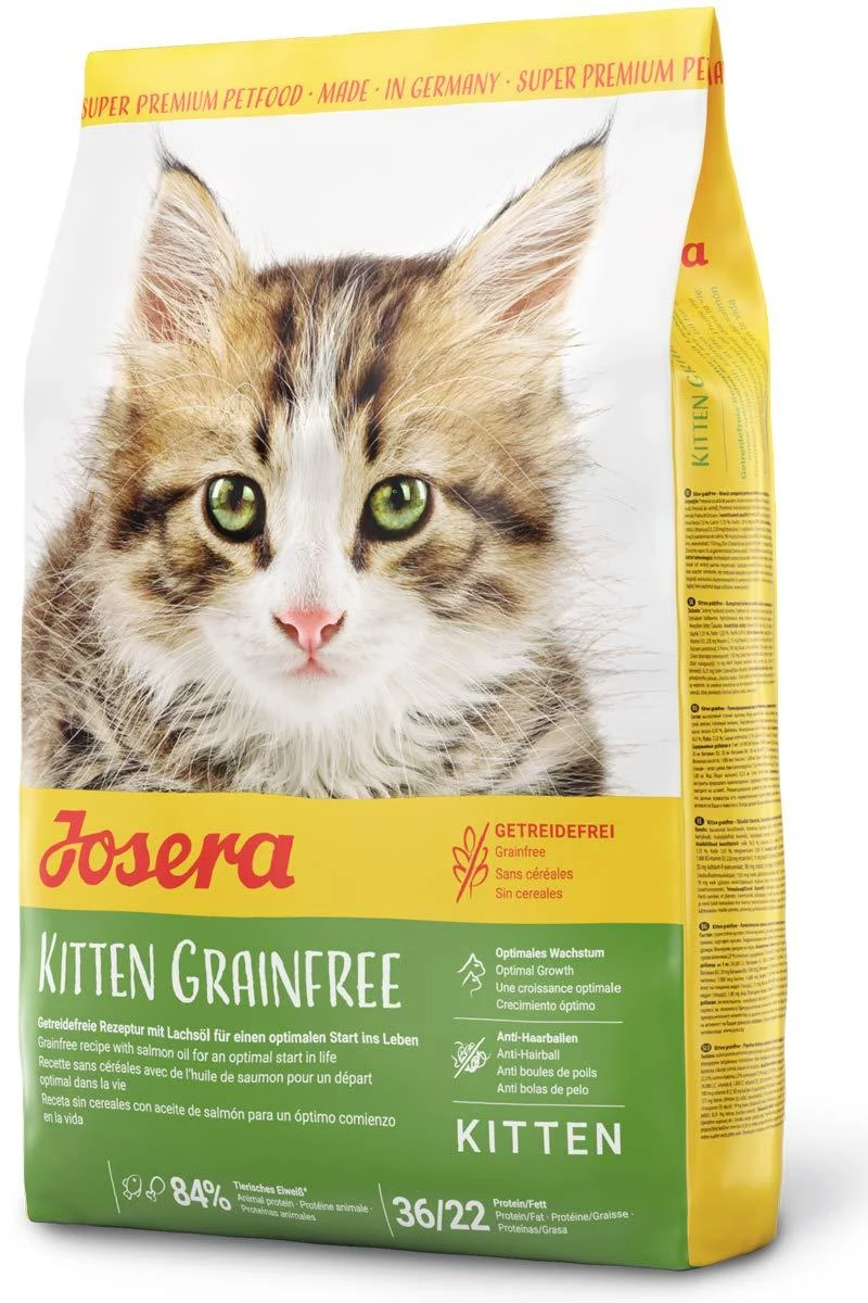 Josera Kitten Grainfree (1 x 2 kg) |Cereal -free cat food with salmon oil |Super premium dry food for growing cats1 Pack 2 kg (1 Pack) single