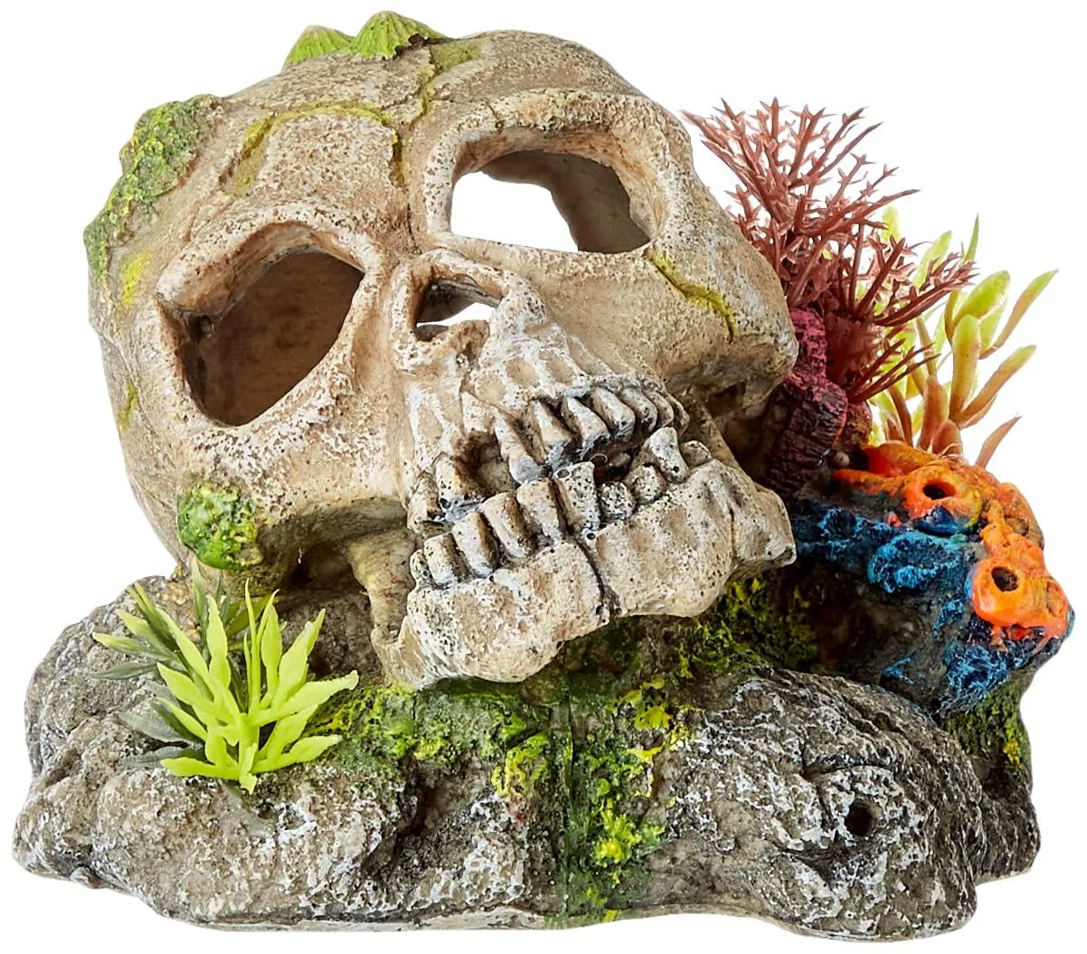 Nobby Aqua Ornaments SKULL with plants 13.5 x 13.5 x 10.5 cm 1 piece single