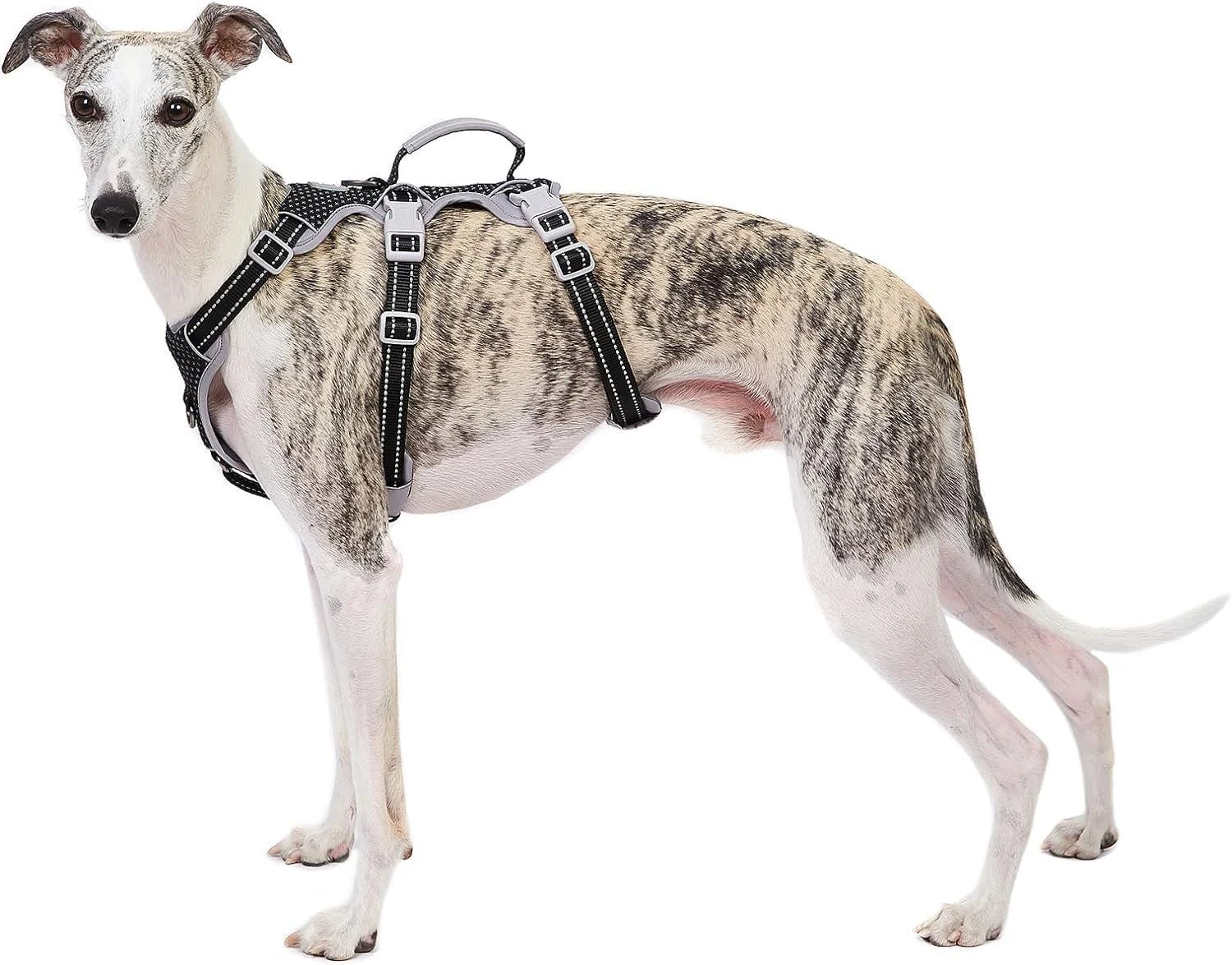 Huntboo Dog harness breakproof reflective full body dishes with a handle adjustable vest without a train with soft breathable padding and linen clip for large dogs (black XL) black extra size (pack with 1)