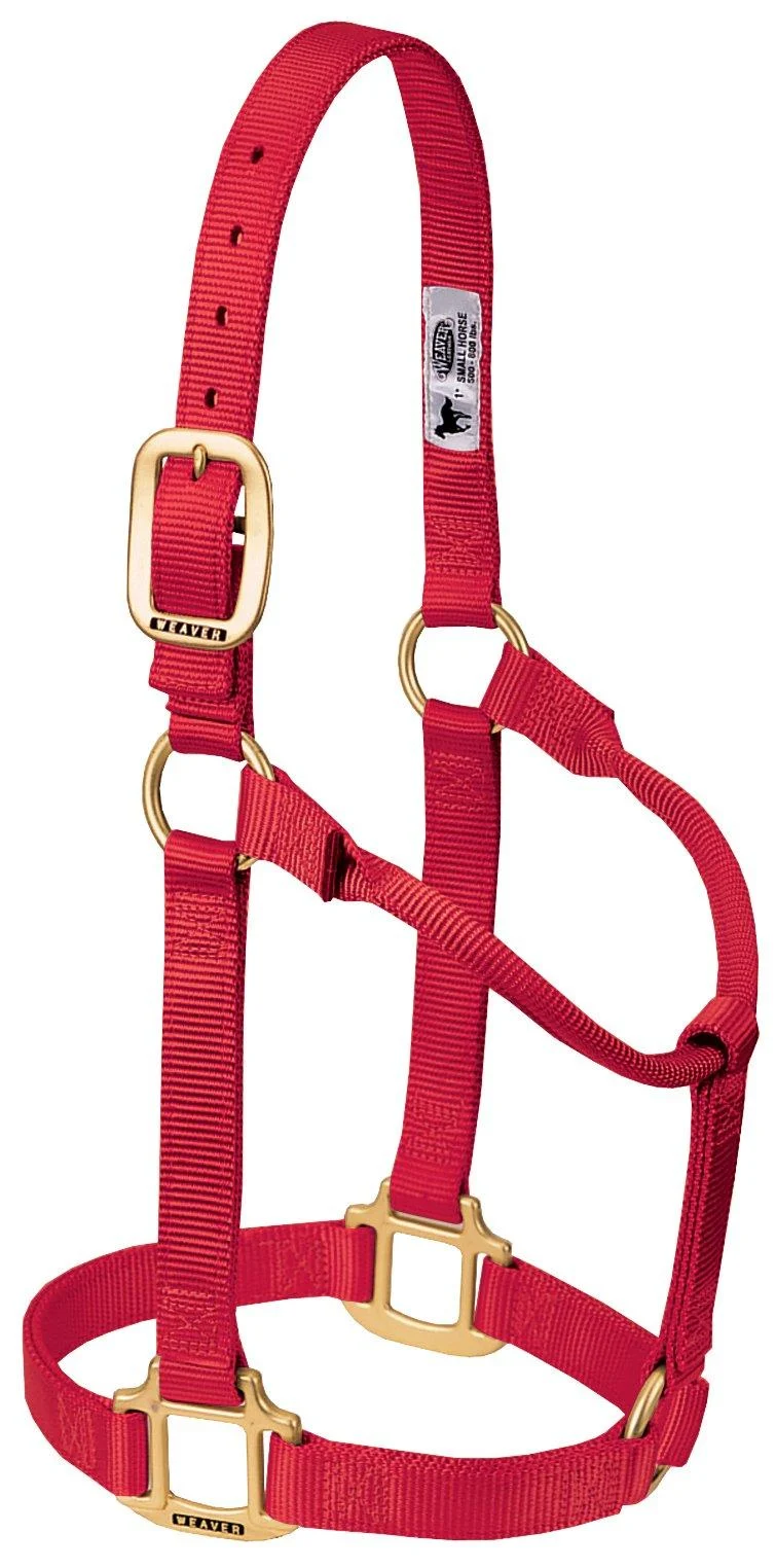 WEAVER Leather Non-adjustable Halter Red/Outing Solid Color (Getaway Solids) Large Horse