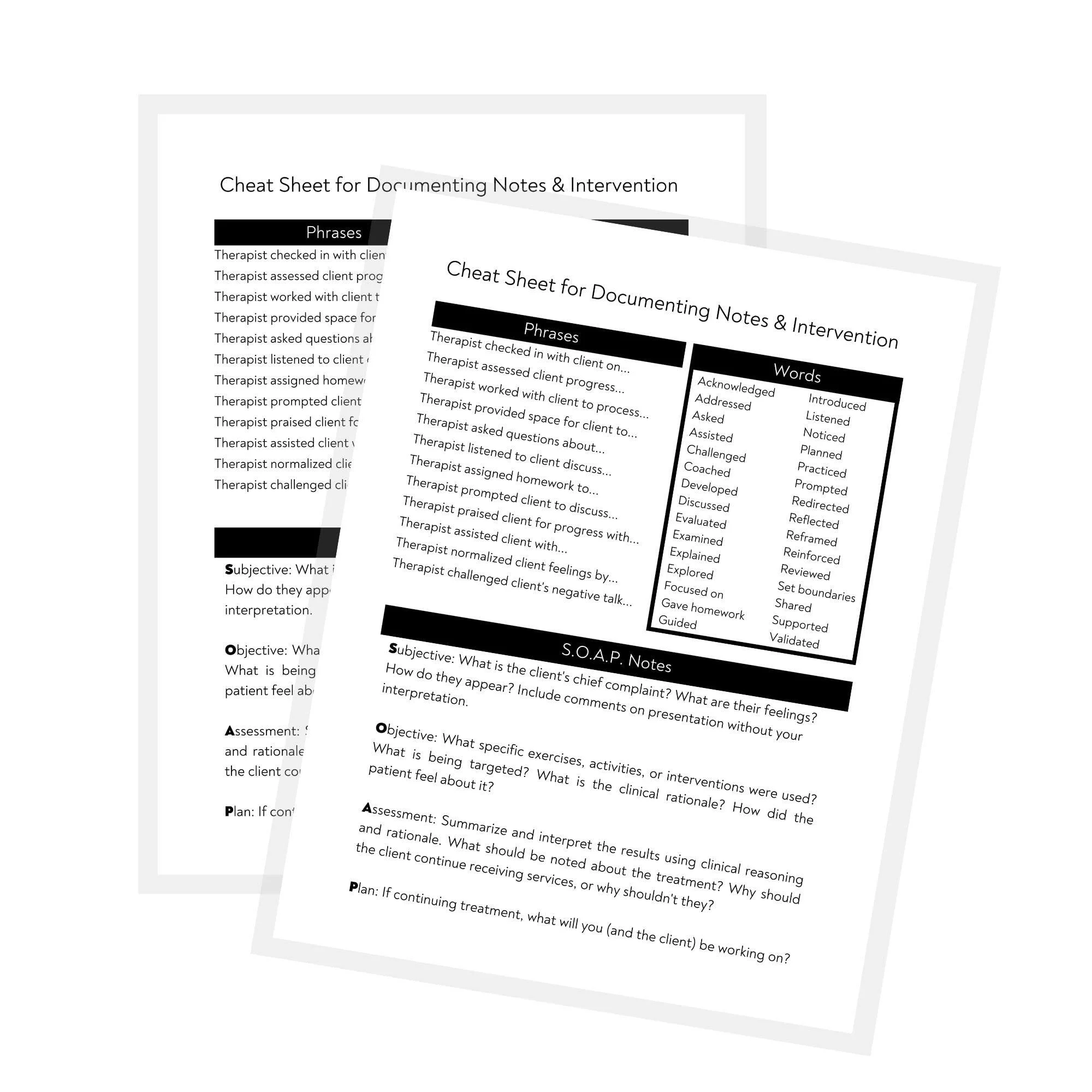 Therapy Notes and Intervention Cheat Sheet | 2 Laminated Sheets | 8.5 x 11" A1 Forms | Therapy Supplies | Minimalist Design - Lashicorn