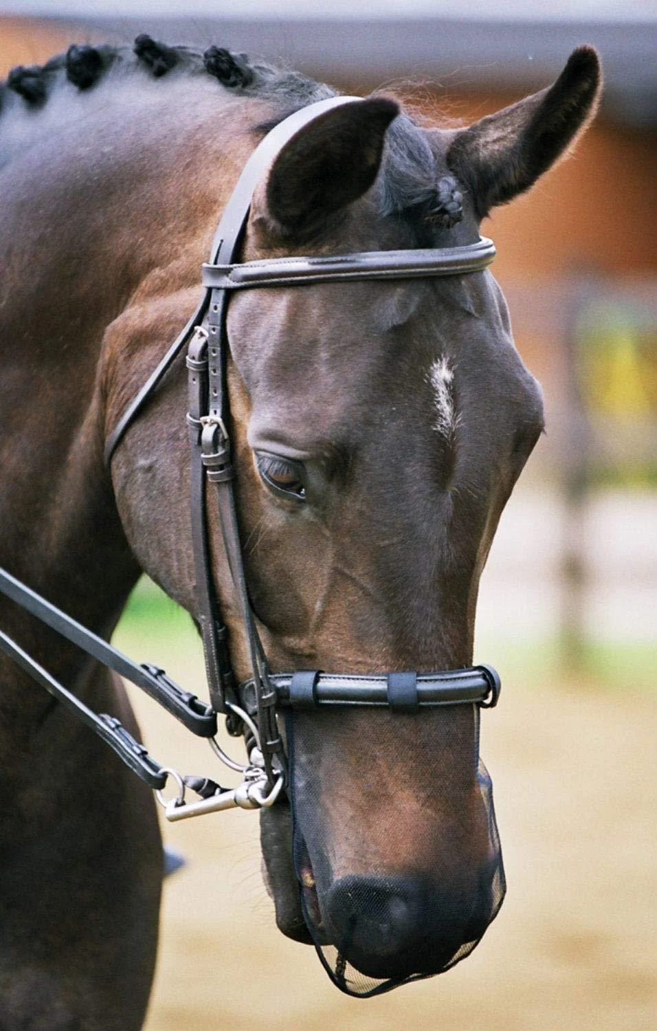 Equilibrium Net Relief - Muzzle Net Black Pony