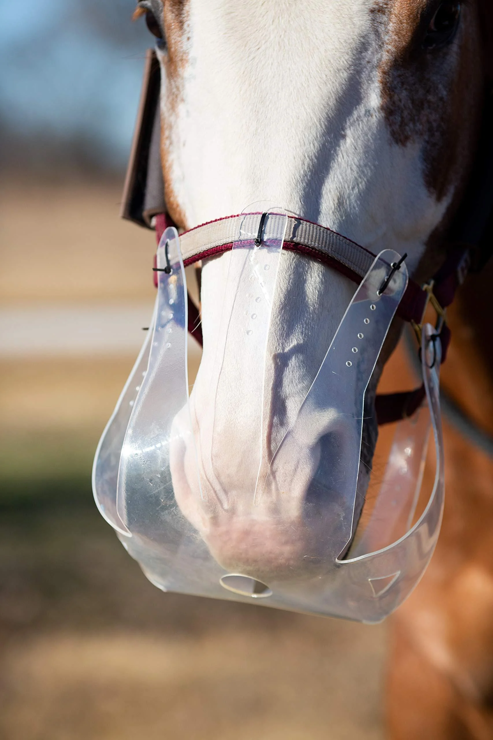 KM Elite ThinLine Flexible Filly Grazing Muzzle - Soft Light & Durable - New Design - Protect from Overeating (Medium)