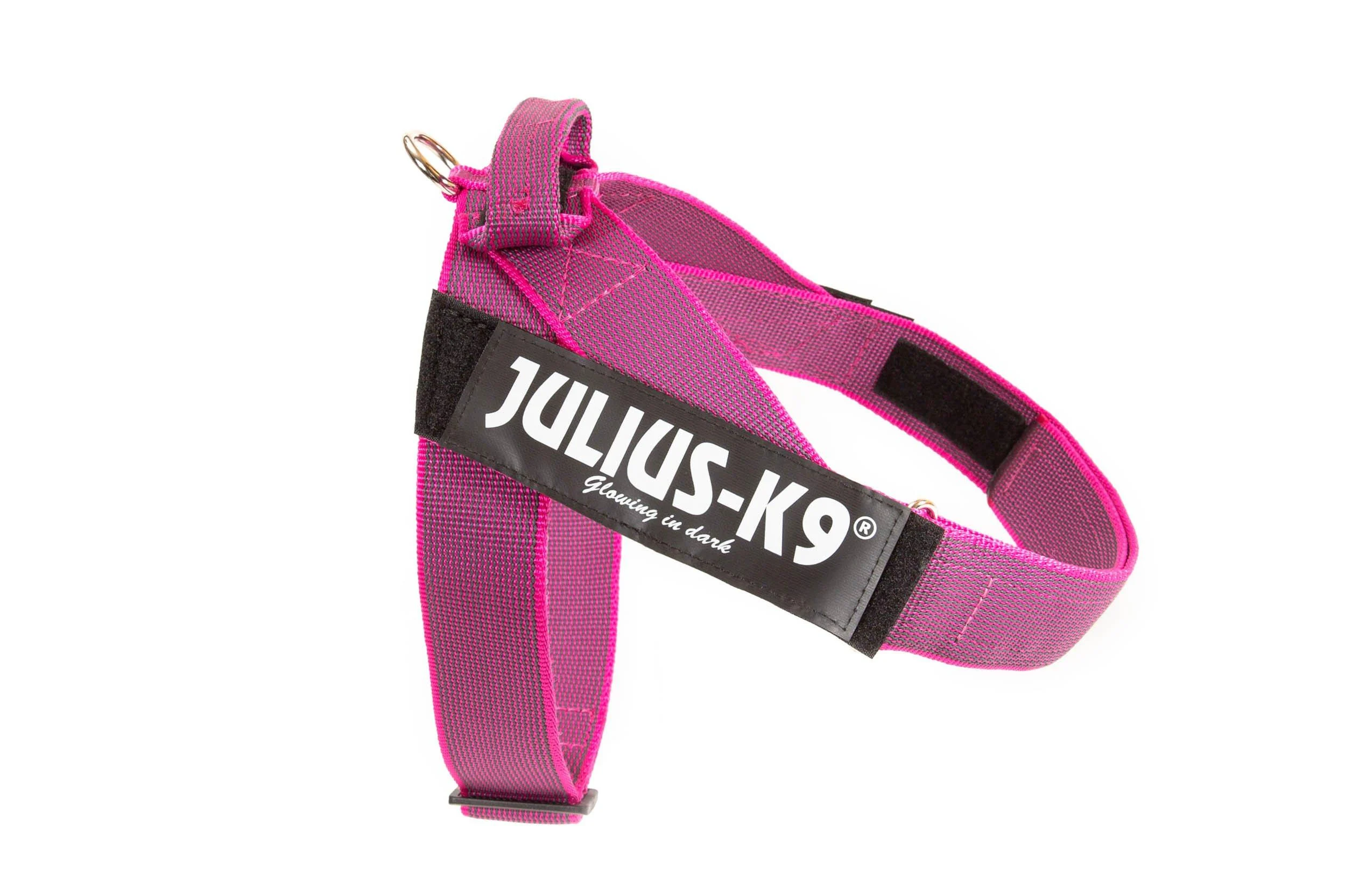 Julius-K9 Color & Gray Belt Harness XL / 2 pink-grey