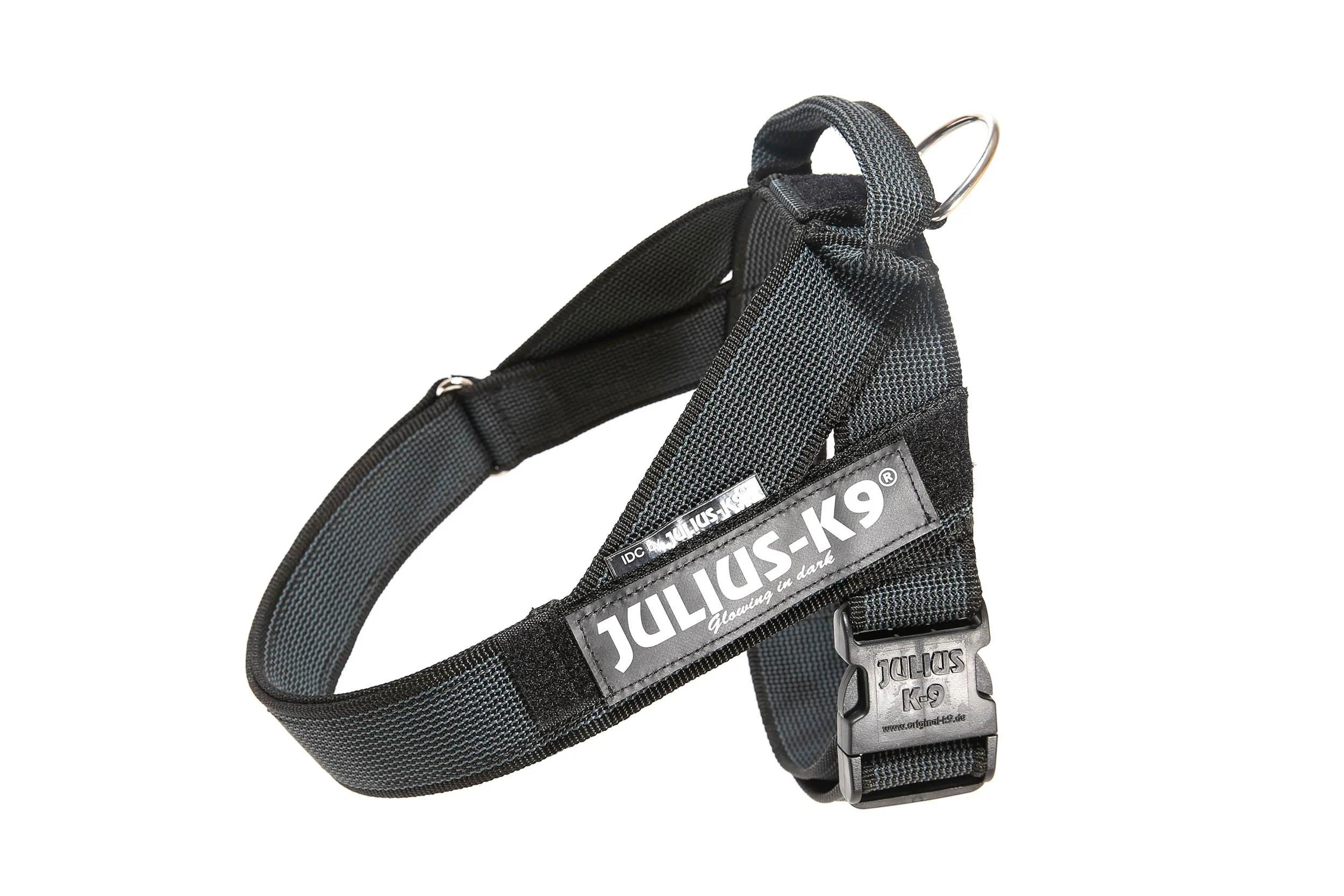 JULIUS K-9 Color & Gray Belt harness L / 1 L / 1 black-gray