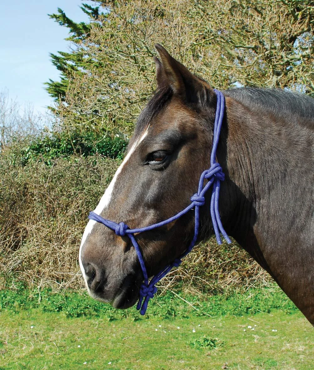 Rhinegold Rope Halter Royal Blue Full