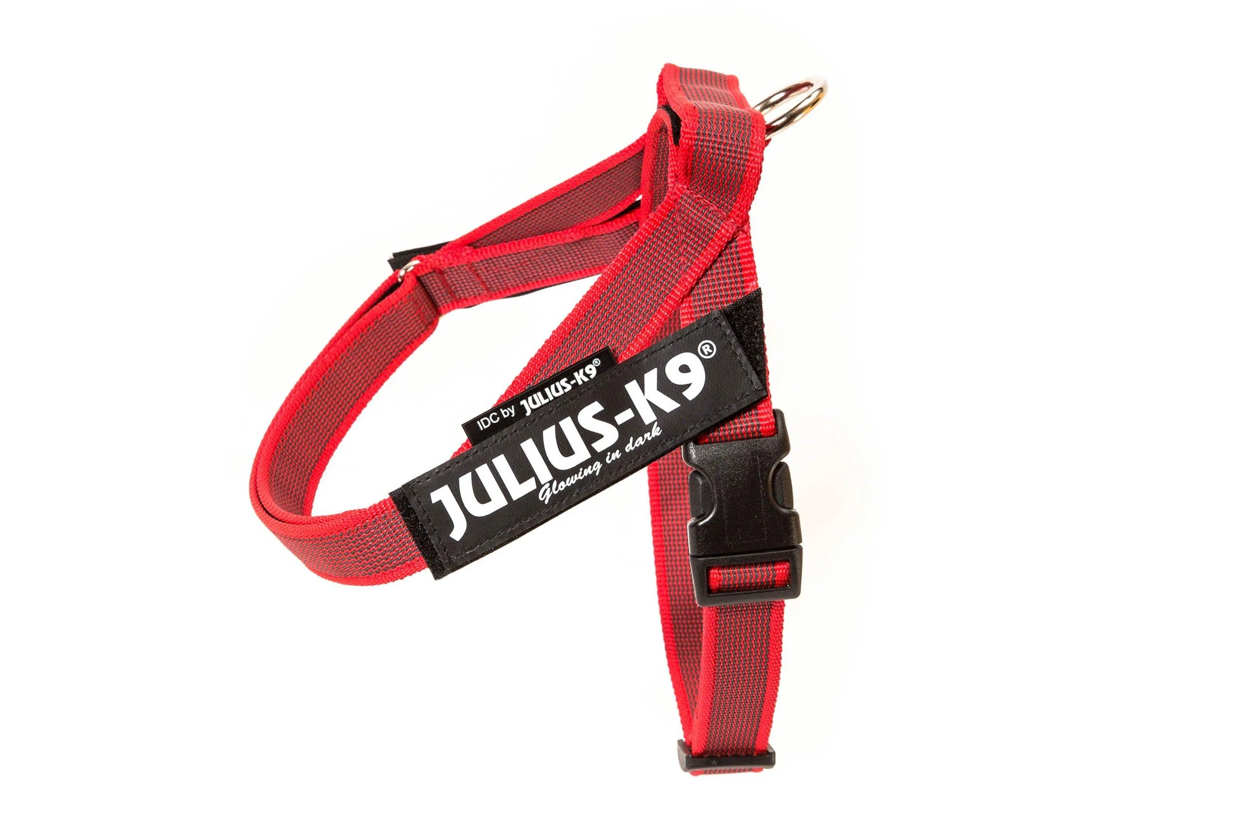 Julius-K9 Color & Gray Belt Harness XS / Mini-Mini red-grey