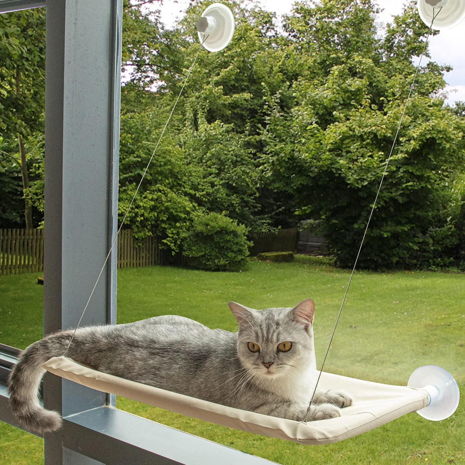 Cat Window Perch, Cat Window Hammock, Window Perch for Cats Inside Up to 50lbs - JOOLOKT