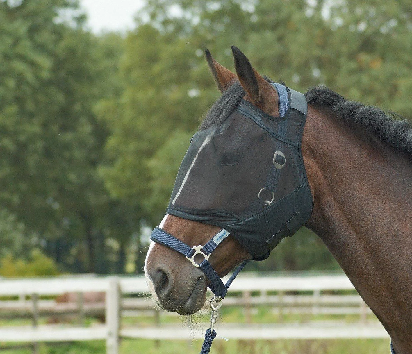 BUSSE Fly Mask Fly Guard Warmblood Black
