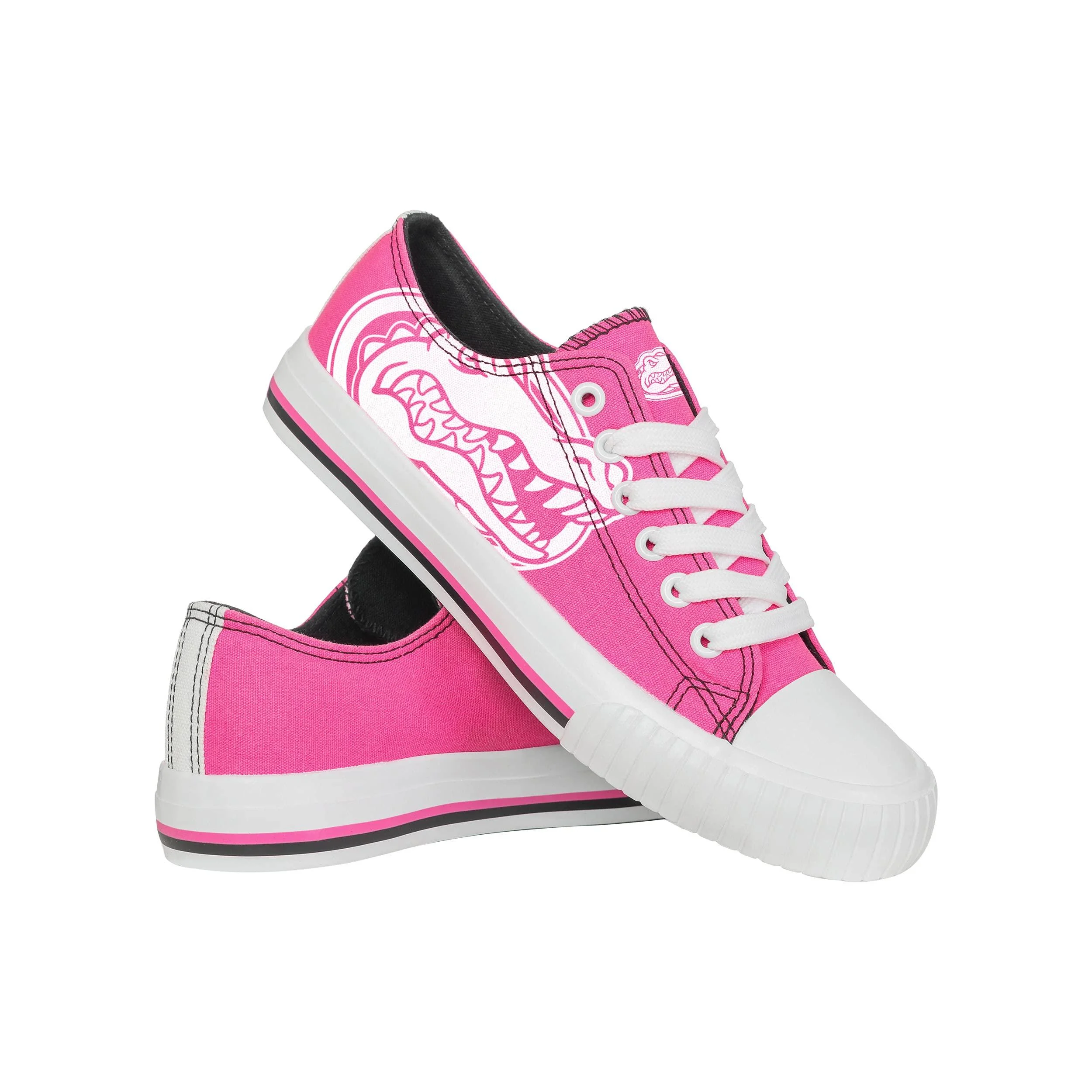 Florida Gators NCAA Womens Highlights Low Top Canvas Shoe - 8