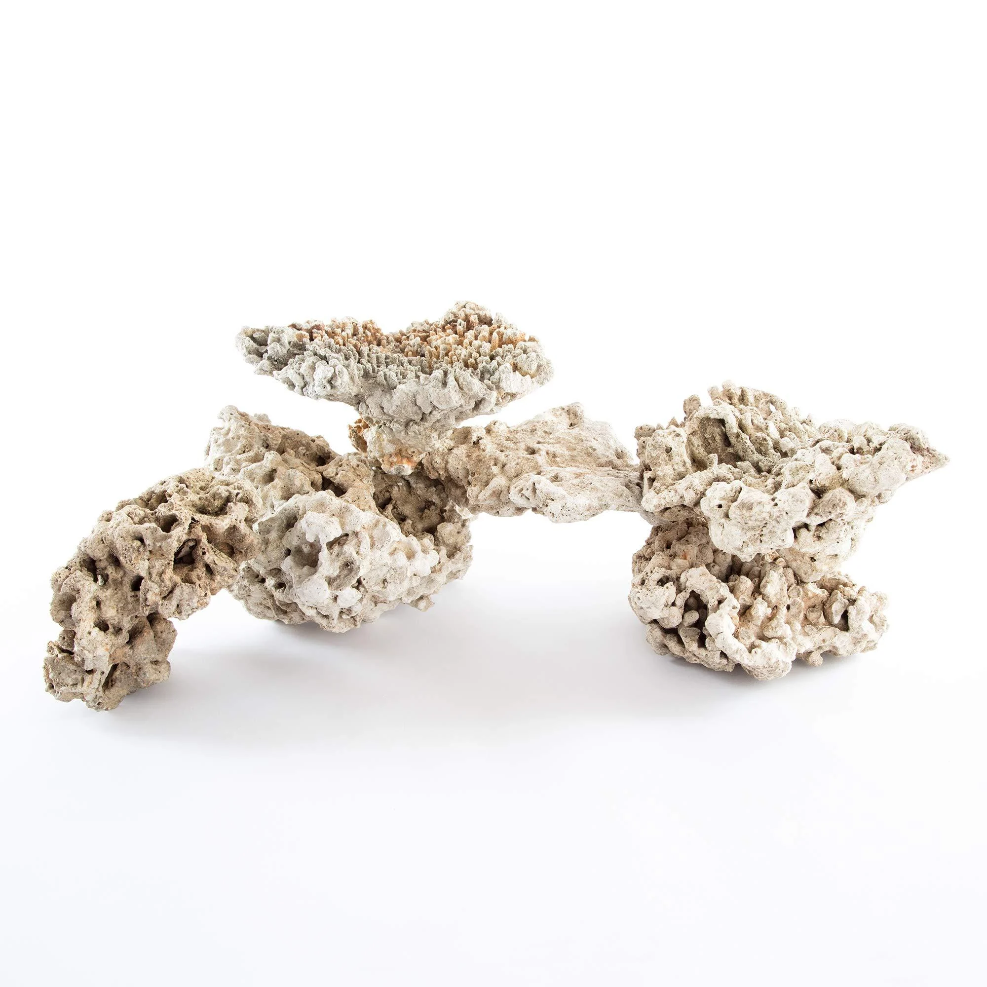 Aquarium Dried Reef Rock Mixed Pack (5kg) 5 kg (Pack of 1) - iQuatics