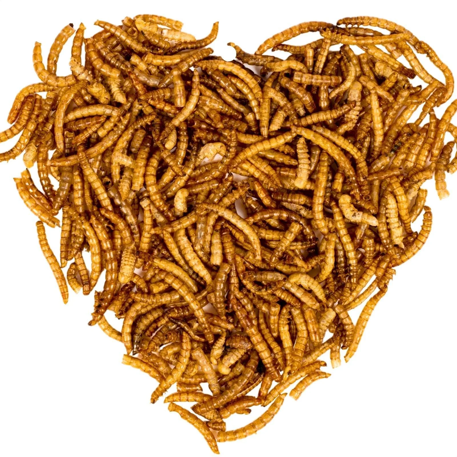 Lyra PET |3 x 1 kg of mealworms |Ideal for decorative and pond fish |Gently dried |Prote -rich fish feed |Rich in vitamins & minerals |Nutrient -rich energy source for KOI
