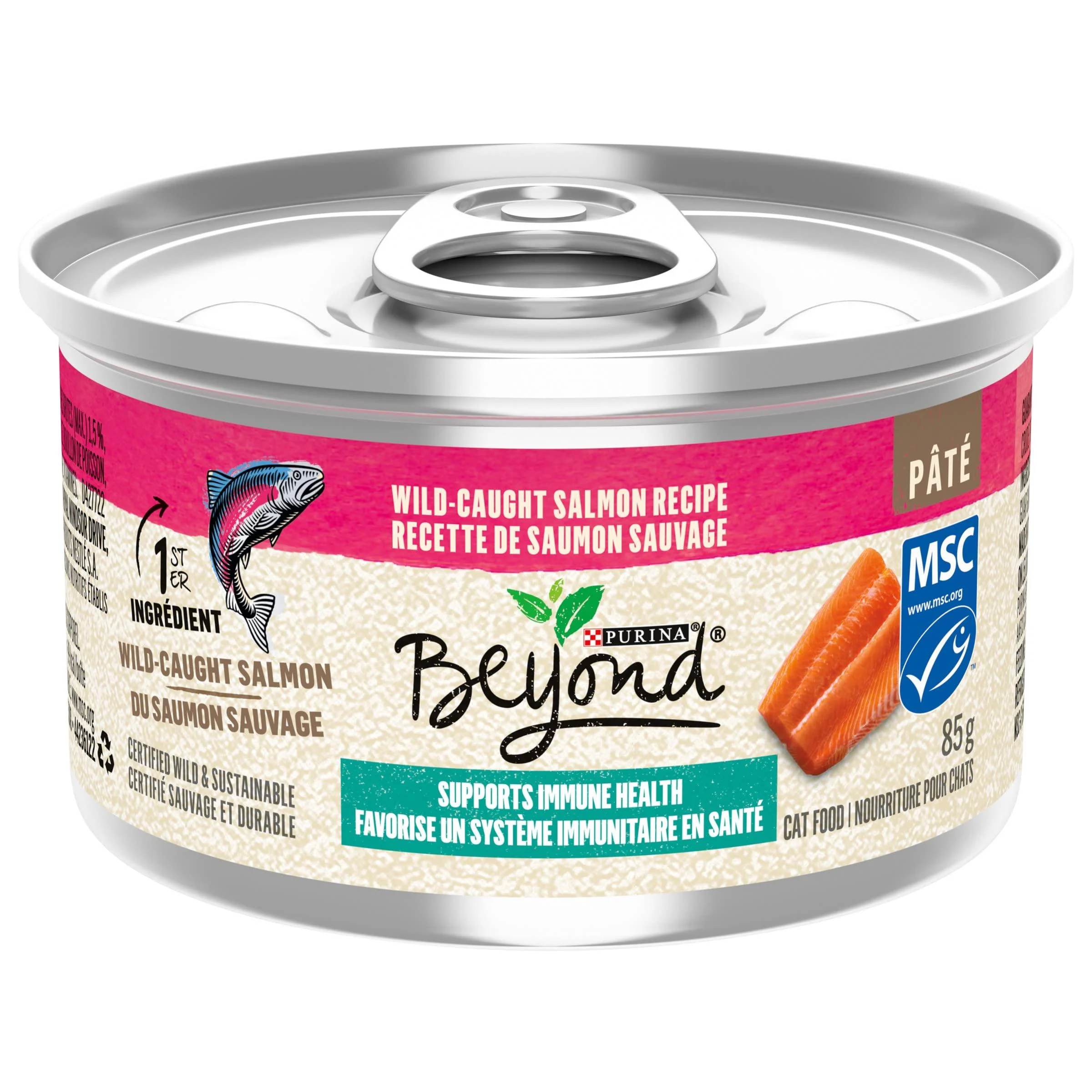 Beyond Wet Cat Food Wild-Caught Salmon Pate - 85 g Can (12 Pack)