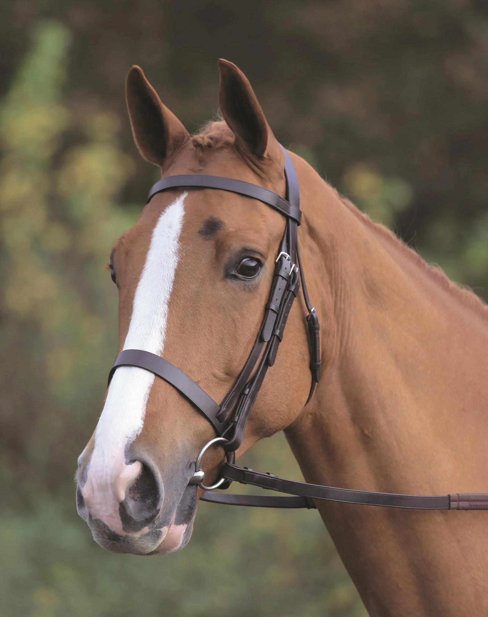 Shires Aviemore Plain Bridle With Rubber Grip Reins - Havana Pony