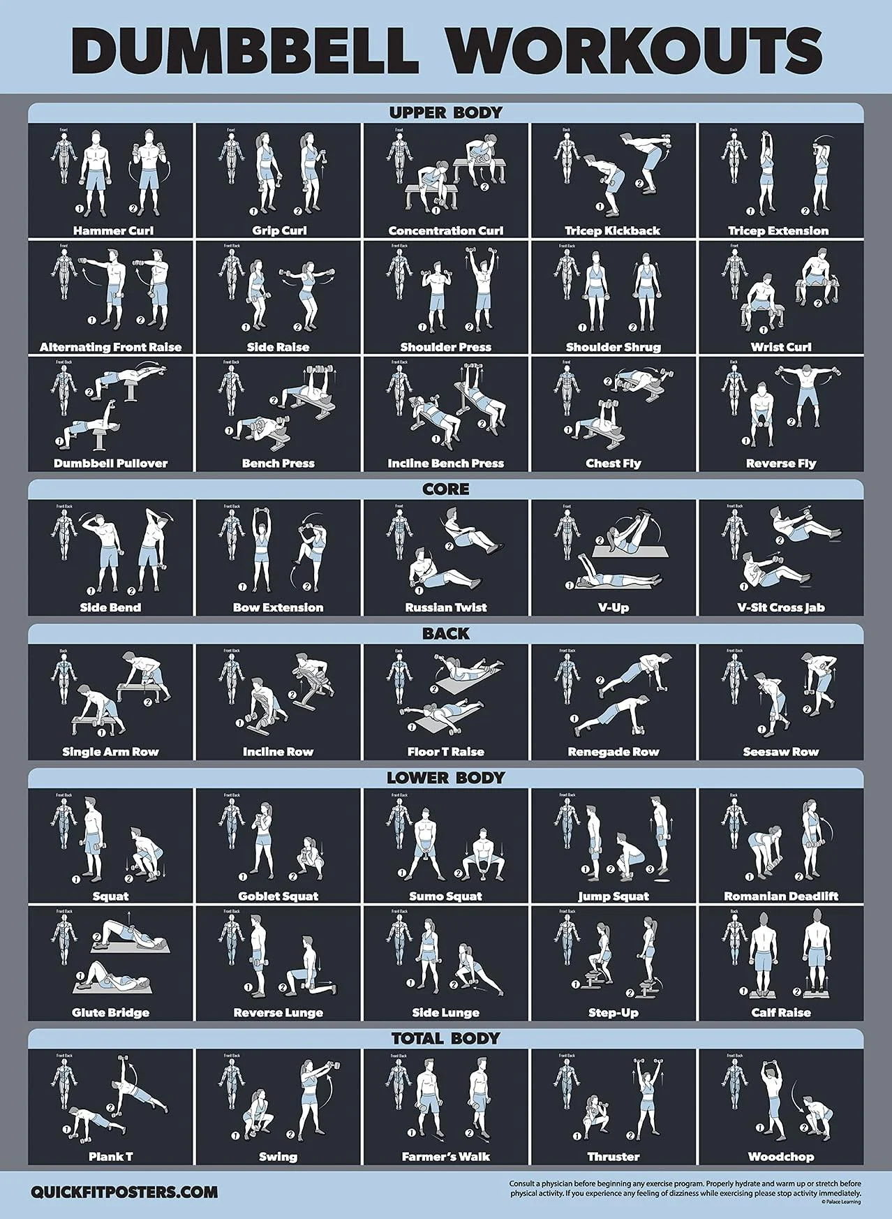 Palace Learning Dumbbell Exercise Poster for Home Office Laminated 18" x 24" Dark Laminated 18" x 24"