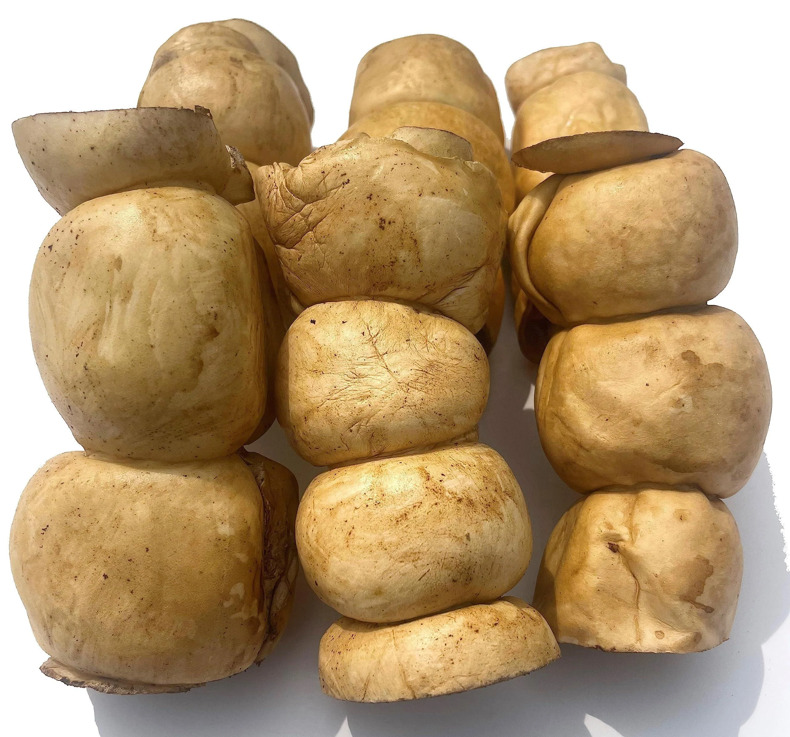 Beef Cheek Rolls Dog CHEW Treat - *(Peanut Butter 6 Pack 6 INCH)* - Original/Peanut Butter Flavors - Single Ingredient - Rawhide Free - Super Thick - All Natural - Long Lasting Beef Cheek Rolls PEANUT BUTTER 6 INCH 6 PACK