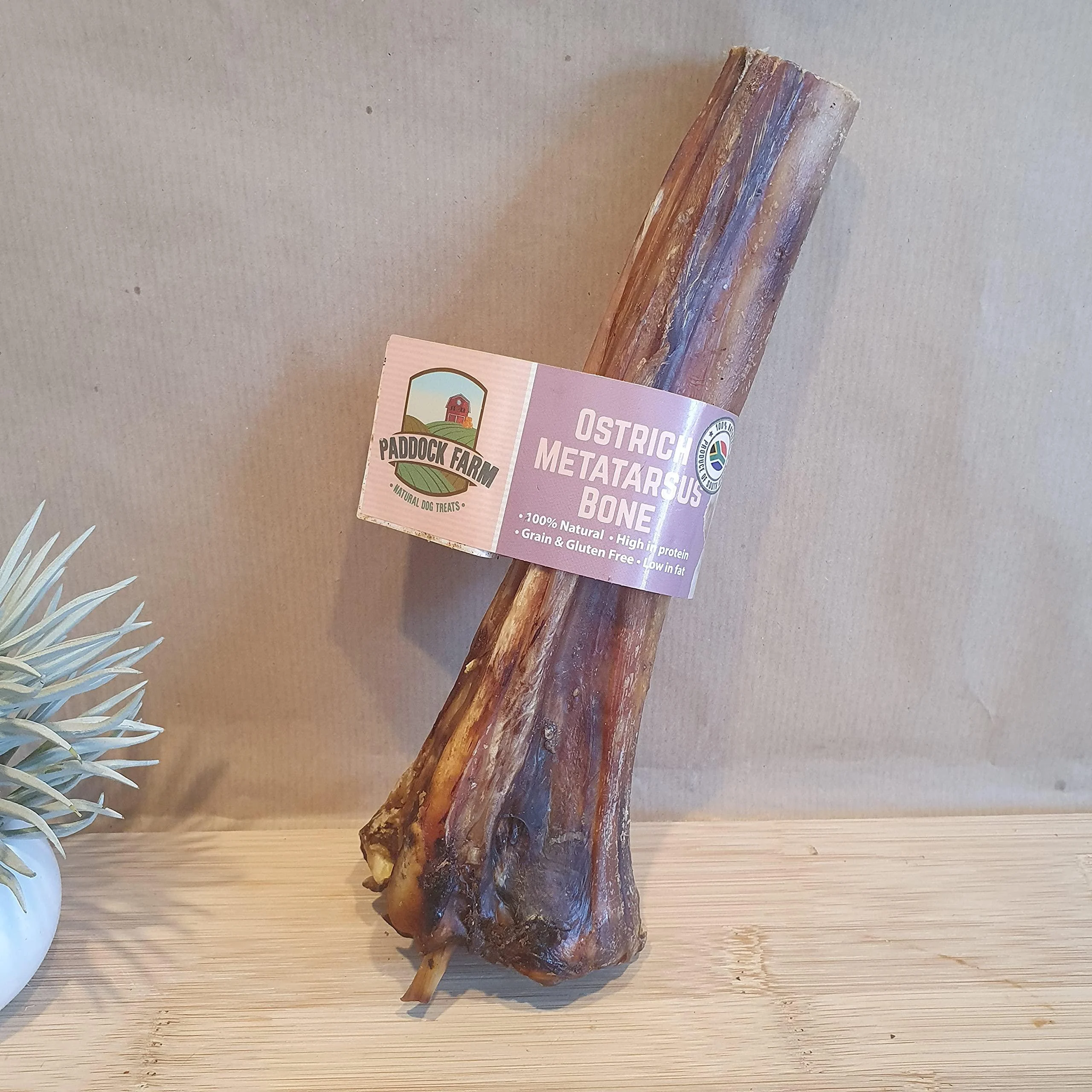 Ostrich Metatarsus Large Bone for Dogs. - Generic