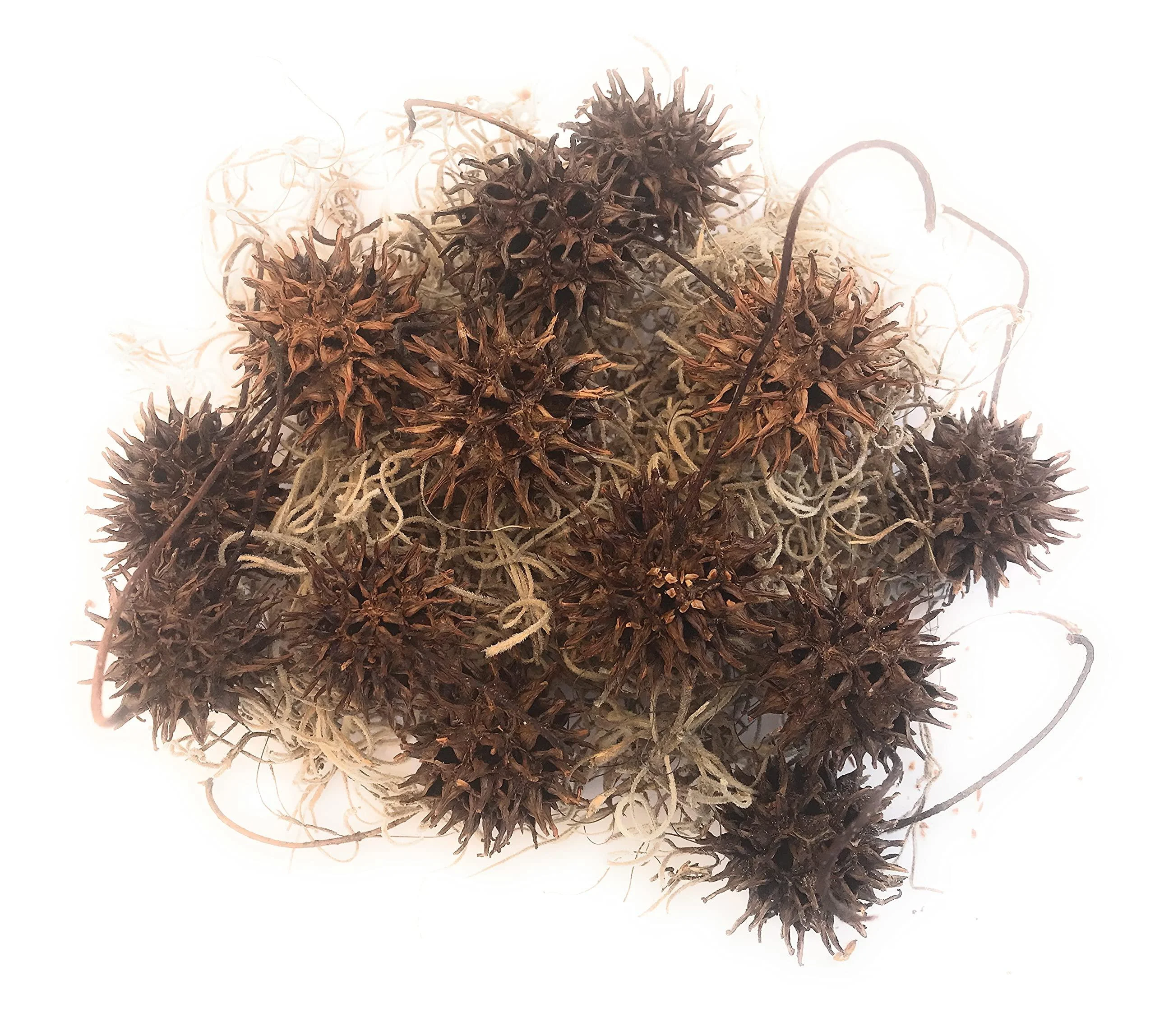 Generic Witch Burrs (balls) with Spanish Moss Hand Picked with great care to insure a Quality Product