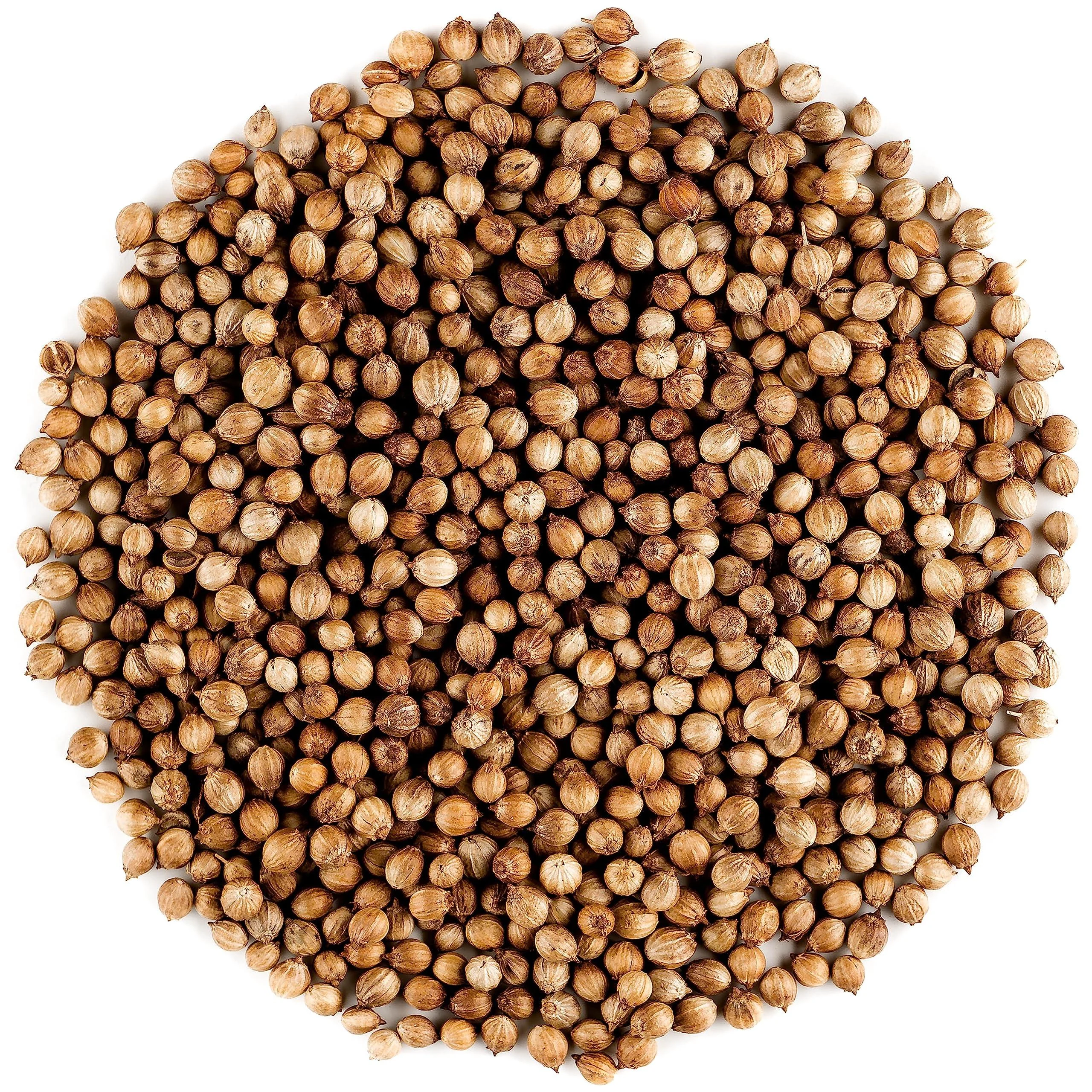 Coriander Seed Organic Gourmet Quality - Cilantro Seeds for Elevating Dishes 200g 200 g (Pack of 1)