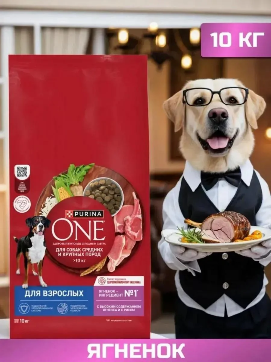 PURINA ONE Dry food for dogs with lamb 10 kg