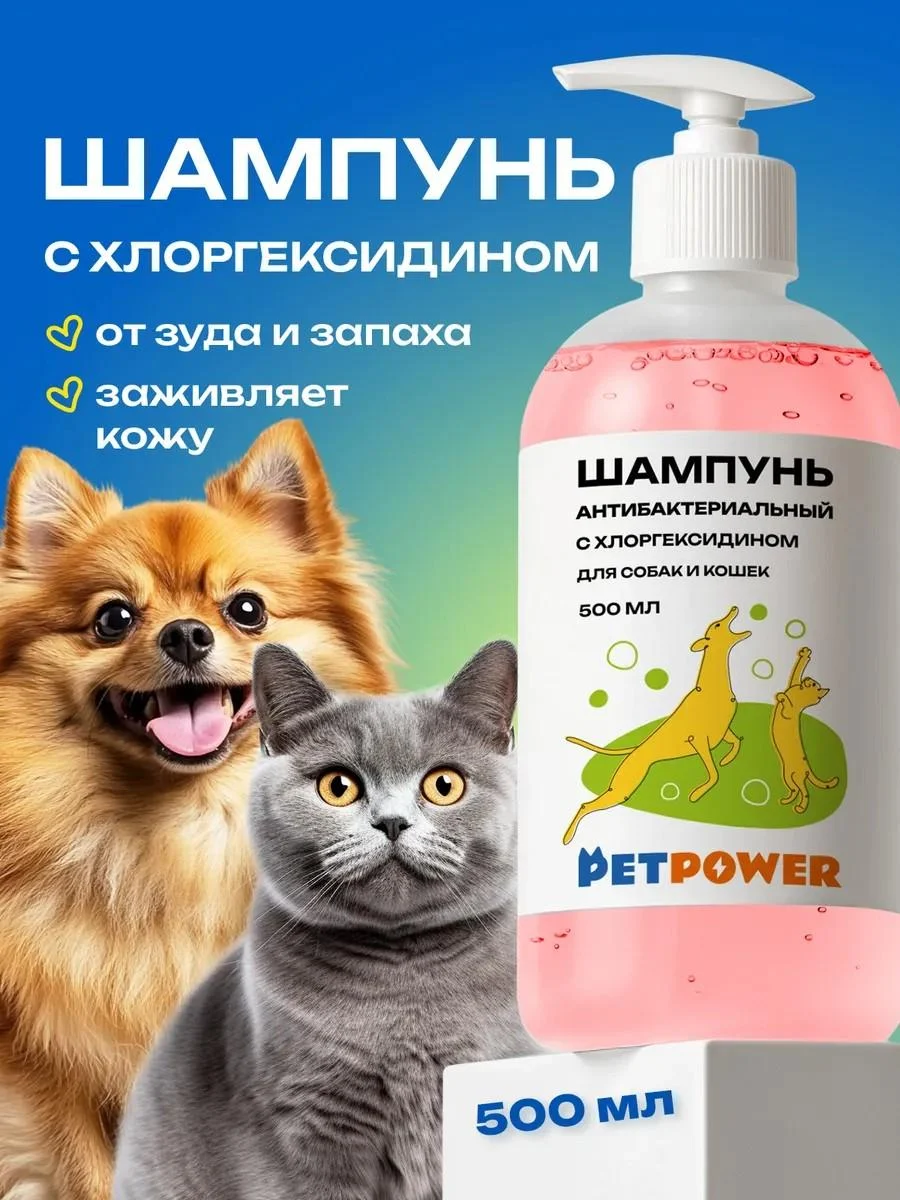 PETPOWER Dog shampoo cats with chlorhexidine