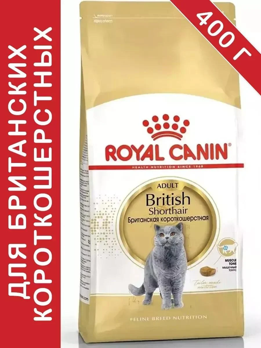 ROYAL CANIN British shorthair adult for cats 400 grams British