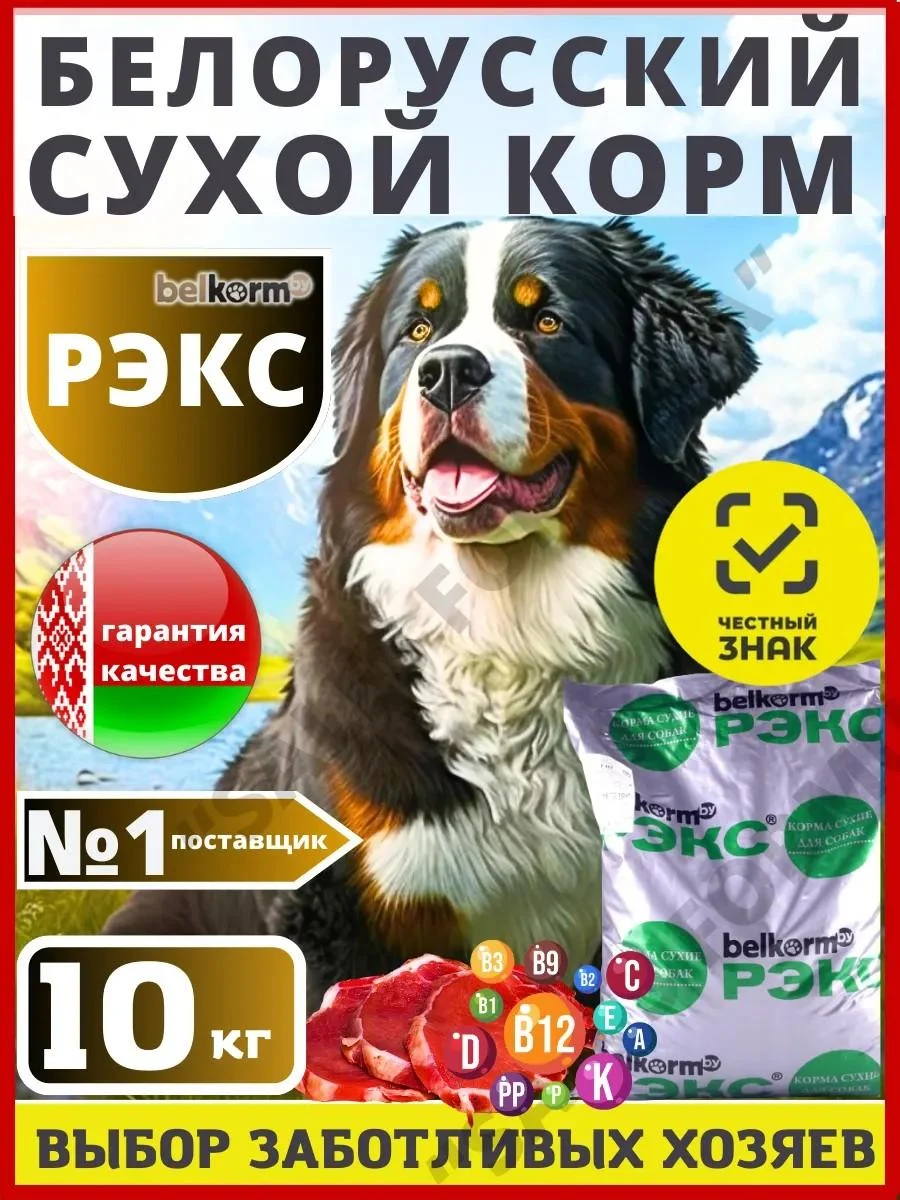 Belkorm Dry feed for large rocks 10 kg Rax