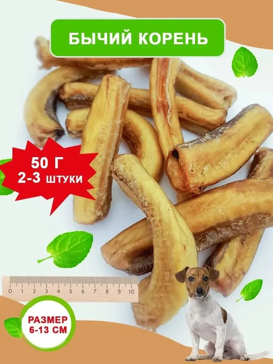 Candidate Master of Sports DoG Dog treating Bully root beef delicious 50 g - Generic