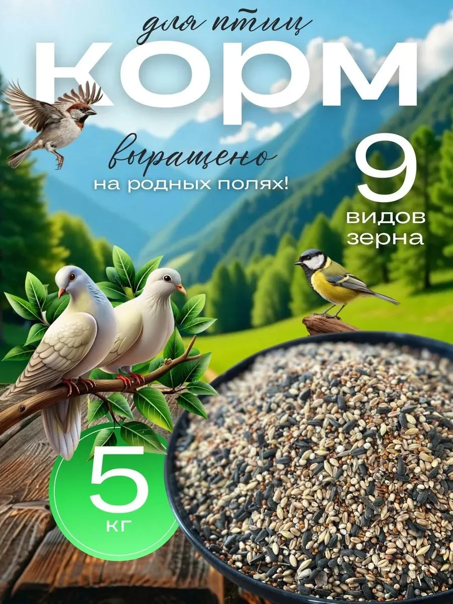 well-fed bird food for street birds