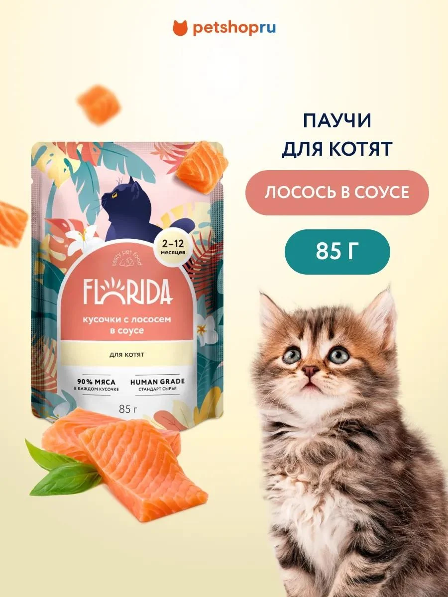 Florida Spider for kittens pieces with salmon in sauce 85 g wet food