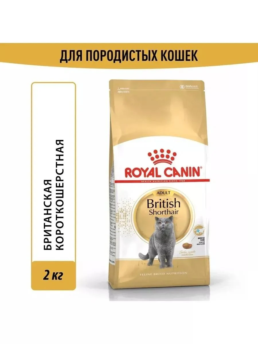ROYAL CANIN British shorthair feed of British short -haired cats 2kg